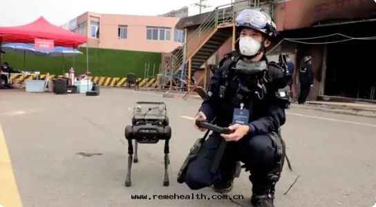 1665476537400557.png 火(huǒ)災-機(jī)器狗副本(běn).png