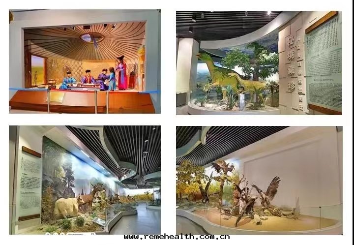 1688362846340846.jpg 1688362846340846.jpg