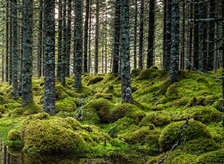 1705049589692863.jpg 1705049532224.jpg