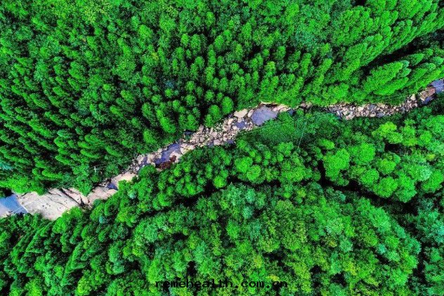 1705050602679140.jpg 1705050562951.jpg