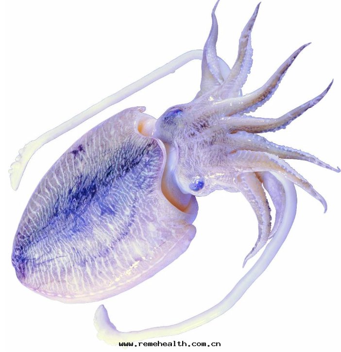 1705288072791521.jpg 1705288072791521.jpg