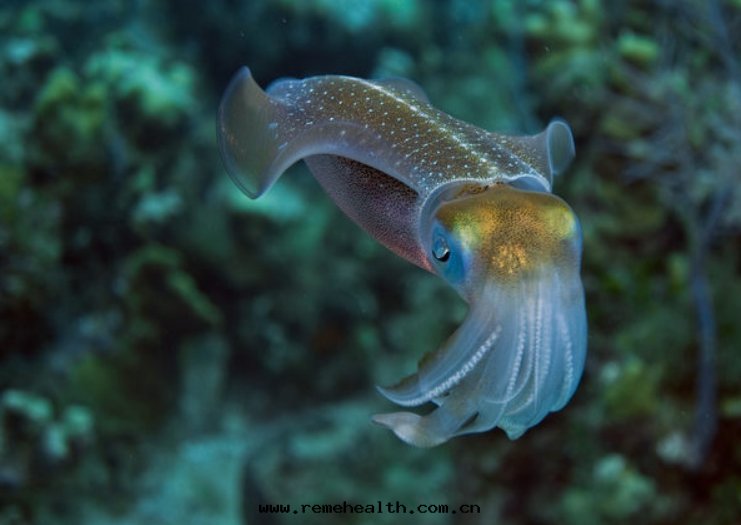 1705288381915965.jpg 1704777560669.jpg