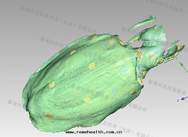 1705289204650842.jpg 烏賊三(sān)維點(diǎn)雲(yún).jpg