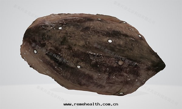 1705289426638346.jpg 模型1.jpg