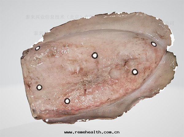 1705289437499193.jpg 模型2.jpg