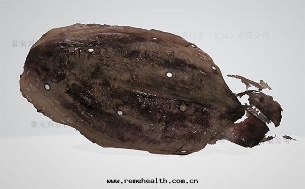 1705289456943539.jpg 模型3.jpg