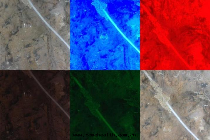 1773891287868235.png 图(tú)片(piàn)4.png