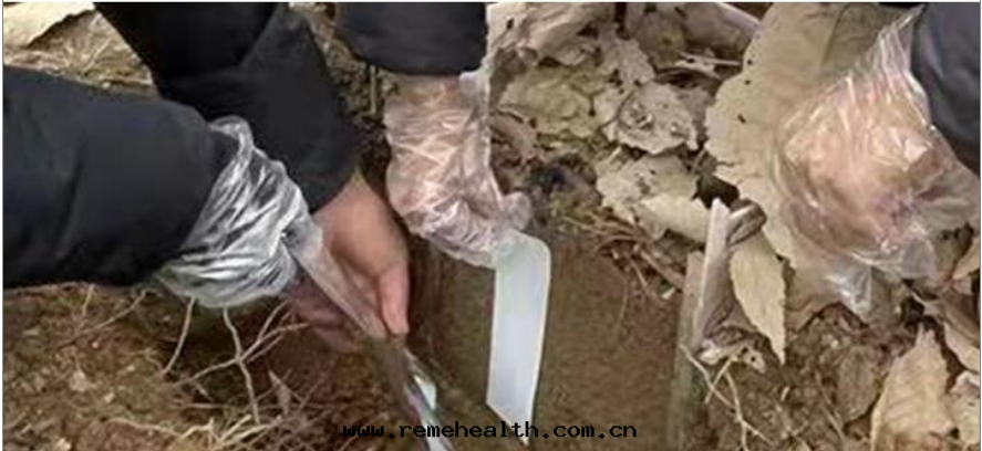 1773900009530287.png 1773900009530287.png