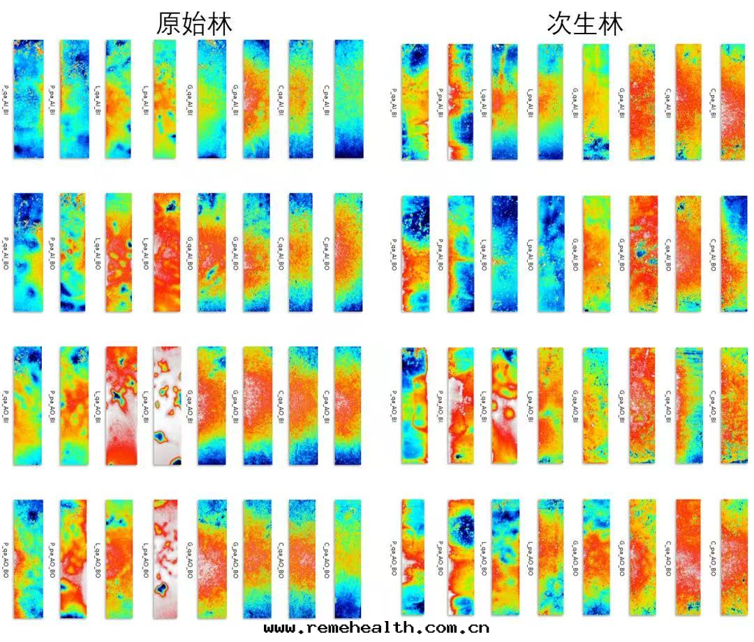 1773900101617302.png 图(tú)片(piàn)10.png