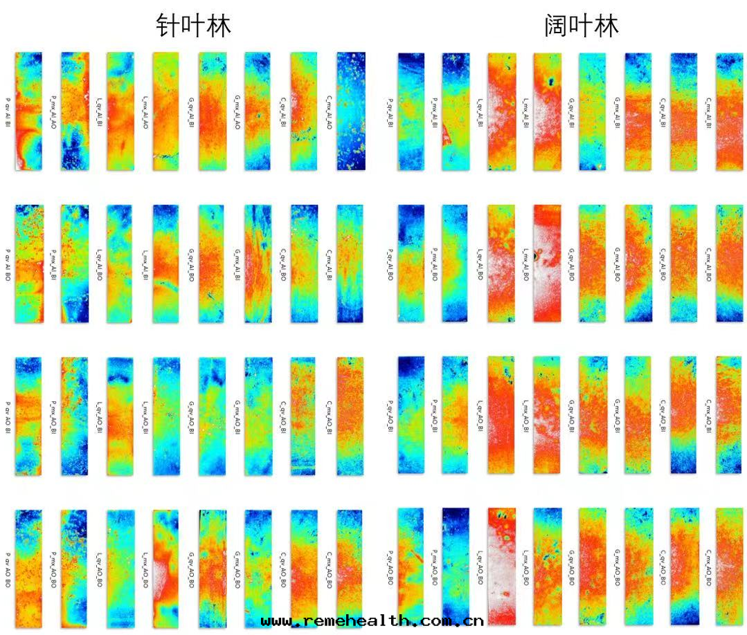 1773900112416289.png 图(tú)片(piàn)11.png